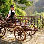 U Bílého Koně Hotel 3*