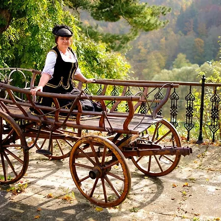 U Bílého Koně Hotel 3*