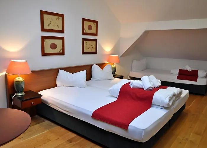 Hotel U Bileho Kone 3*