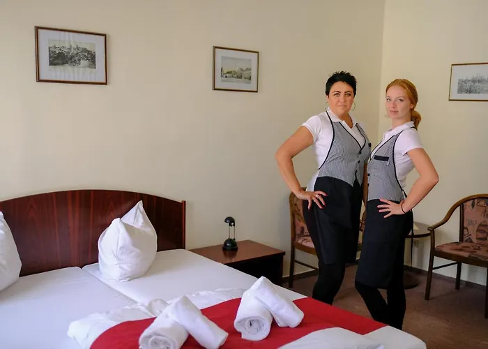Hotel U Bileho Kone Loket